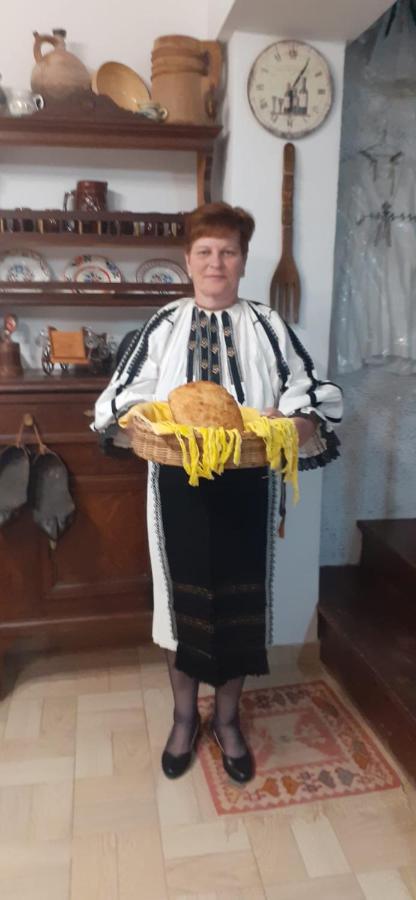 Pensiunea Iulia Rod Экстерьер фото